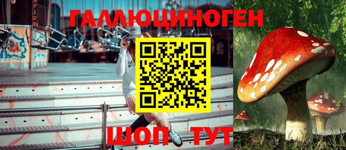 Галлюциногенные грибы MAGIC MUSHROOMS  Вход с VPN  Кинешма 